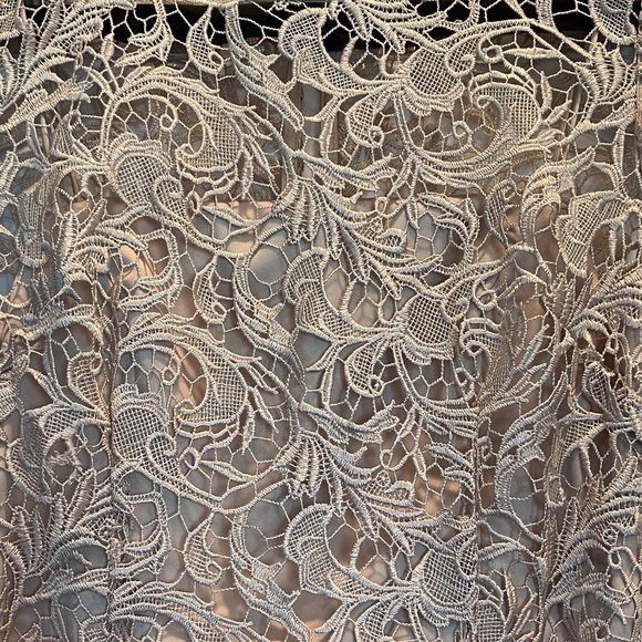 Lace Overlay Dress - Picture 4 of 5